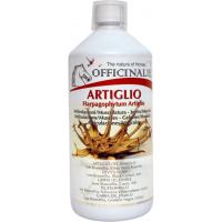 Aliment Tendons et Articulations OFFICINALIS® ARTIGLIO
