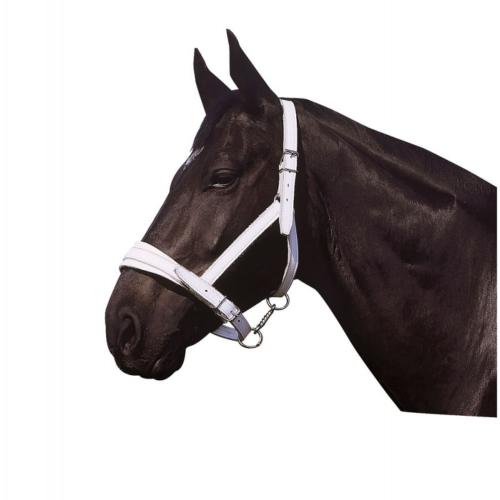 Licol Cheval de Trait Large en Cuir Blanc, NORTON