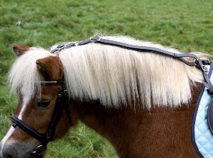 Enrênement Anti-Basculement Réglable Shetland , Poney, Cheval, NORTON