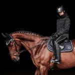 Doudoune en Duvet Chaud Imperméable CHELSEA, MOUNTAIN HORSE