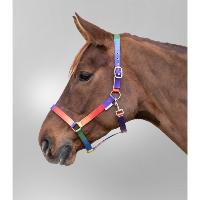 Licol Multicolore Arc-en-ciel Taille Shetland  Cheval, WALDHAUSEN