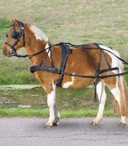 Harnais d'Attelage Synthétique PONEY, SHETLAND STAR, WALDHAUSEN