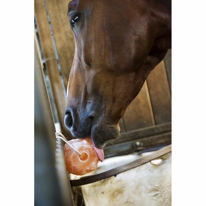 Pierre à lécher pour cheval, âne, mouton en cristal de sel du pied du  Himalaya Montagne env. 2–3 kg avec 1,3 m de cordon : : Animalerie