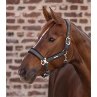 WALDHAUSEN - Licol synthétique satiné doublé maille BREATH