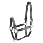 Licol Cuir et Sangle Matelassée Réglable MIX, WALDHAUSEN
