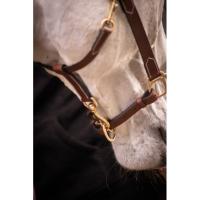 PADDOCK Sports - Licol cuir doublé 3 mousquetons bicolore