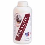 lectrolytes Liquides pour Cheval Rek A Lyte, REKOR