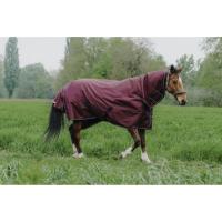  EQUITHÈME TYREX - Chemise de Pré Intégrale 1200D Combo 