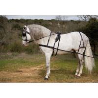HH - Harnais d'attelage complet cuir matelass boucles inox KIEL