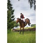 Gilet Airbag Equitation HELITE à Cartouche AIR, EQUITHÈME 