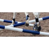 HIPPOTONIC - Kit Obstacle simple barre et chandeliers en composite