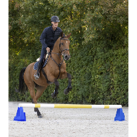 Cavaletti Emboîtable pour Carrière d'Obstacle, WALDHAUSEN