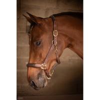 PADDOCK Sports - Licol cuir doublé 3 mousquetons bicolore