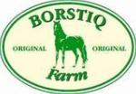 BORSTIQ Brosses de soin pour chevaux