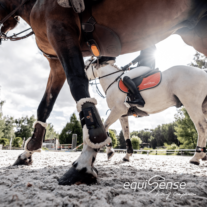 ELT Paris, spécialiste des vêtements d'équitation