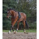 Enrênement à la longe