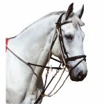 Enrênements de travail pour cheval 