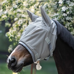 Anti-insectes cheval