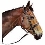 Briderie et Accessoires de Randonnée