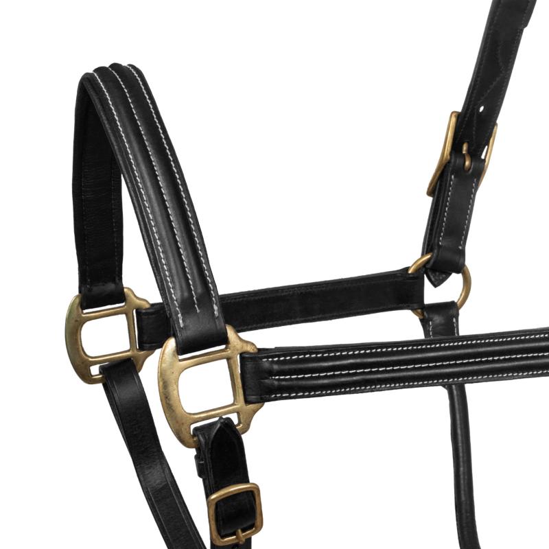 SUPREME - Licol en cuir triple épaisseur multi réglage matelassé NOIR PONEY