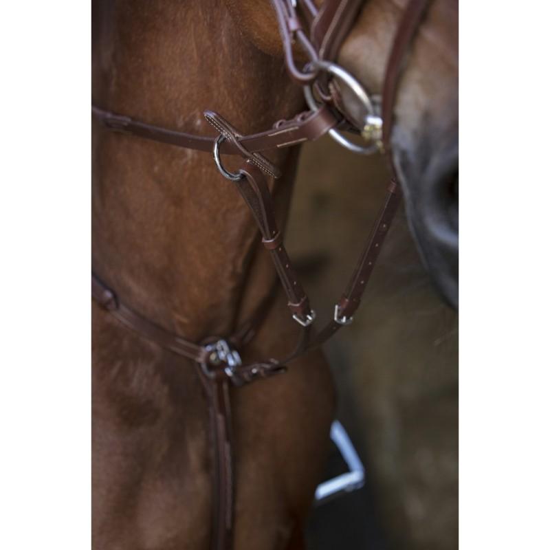 Collier de Chasse 3 Points à Pont et Mousquetons, NORTON PRO