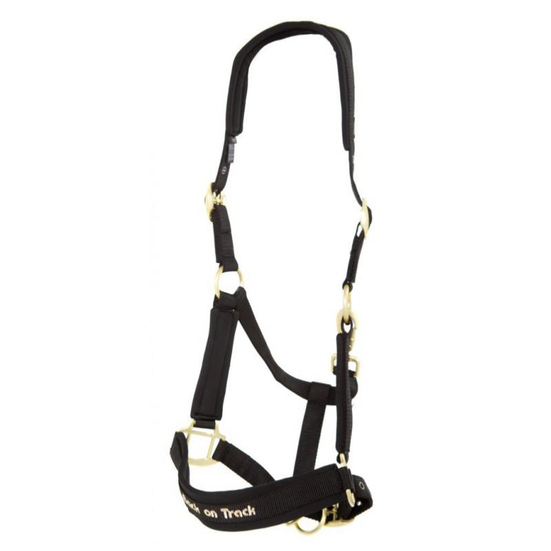 BACK ON TRACK - Licol WERANO en Welltex doublé néoprène MARINE PONEY NOIR