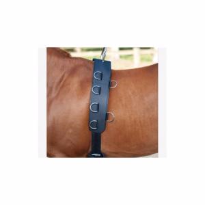 Felix BRASSEUR - Surfaix pour Travail à pied aux Longues Rênes 