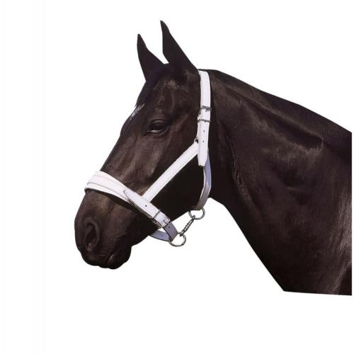NORTON - Licol en cuir blanc pour cheval de trait 