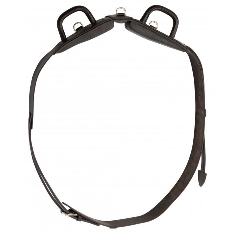 NORTON CLUB - Surfaix de voltige à poignées fermées rigides