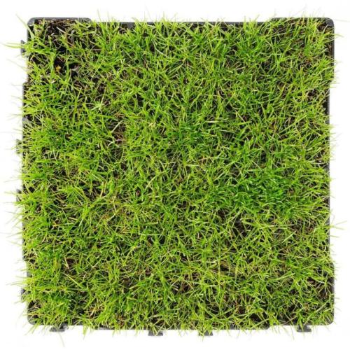 Dalles de Stabilisation Sols Paddock et Abris Chevaux STAB MAX, Lot 80 M2