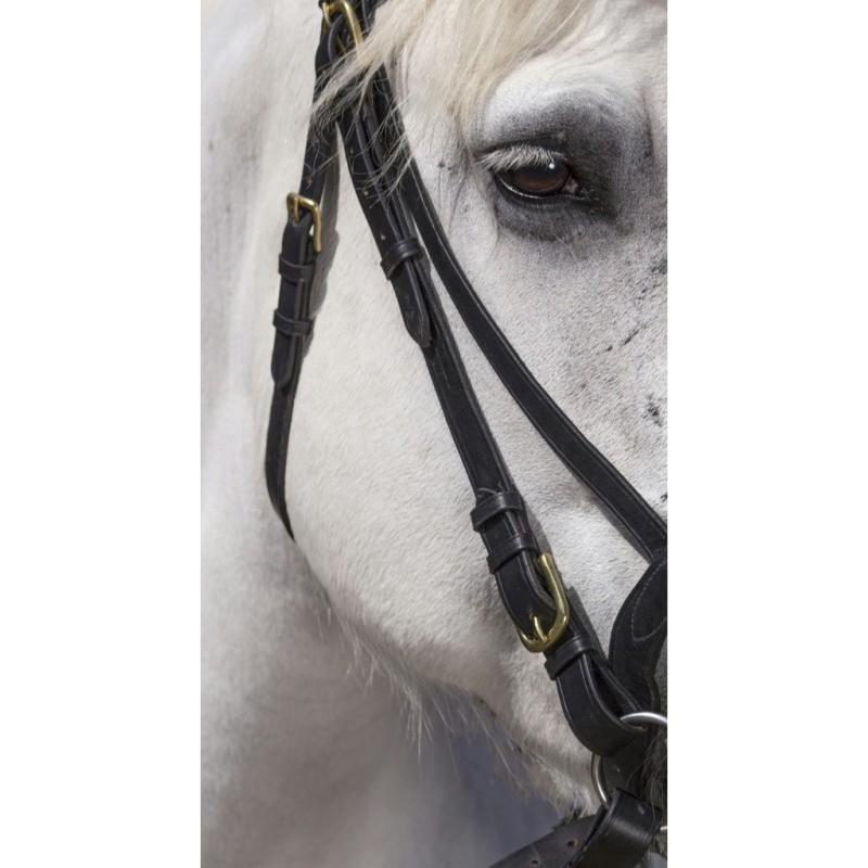 NORTON - Bridon cheval de TRAIT cuir avec muserolle française NOIR