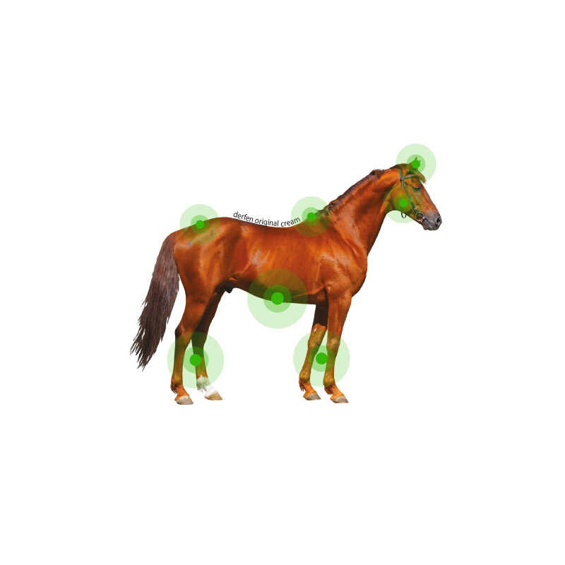 ANIMADERM- DERFEN Original Crème de la Dermite du Cheval, peau fine