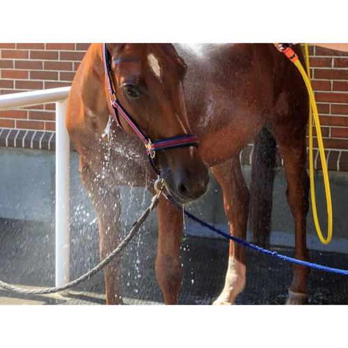 Dalle Caoutchouc pour Douche 1MX1M Super Grip, CLIP SUPER