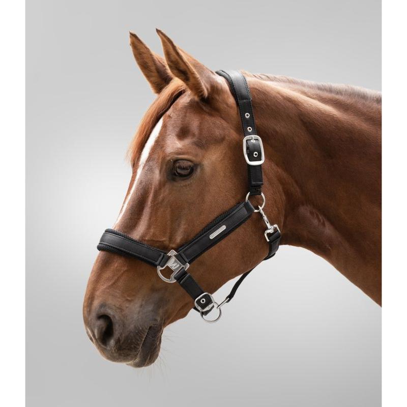 WALDHAUSEN - Licol synthétique satiné doublé maille BREATH PONEY NOIR