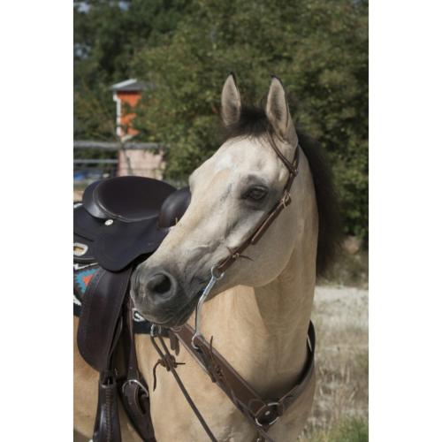FRANCK PERRET - Bridon Western 1 oreille WESTRIDE 