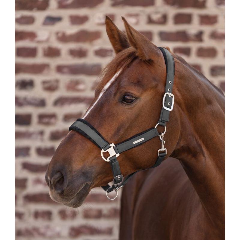 WALDHAUSEN - Licol synthétique satiné doublé maille BREATH PONEY NOIR