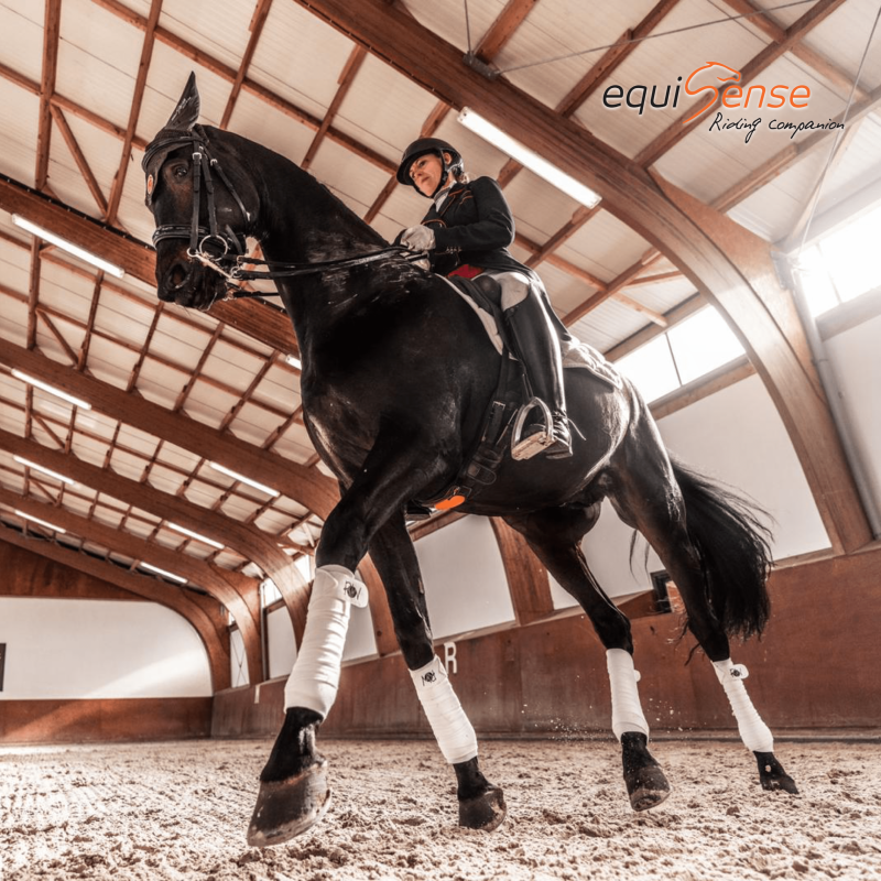 EQUISENSE - Outil de Mesure de Santé et Performances Motion S Attache en Cuir NOIR