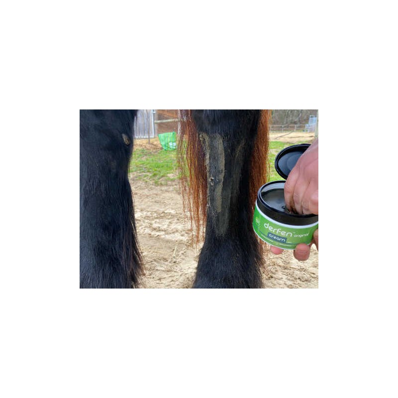 ANIMADERM- DERFEN Original Crème de la Dermite du Cheval, peau fine