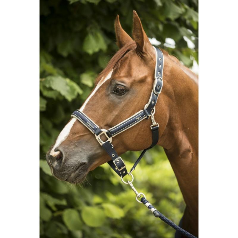 LAMI-CELL - Licol Nylon Doublé Polaire ELEGANCE PONEY Marine/champagne PONEY (DERNIER) PONEY Dernier !