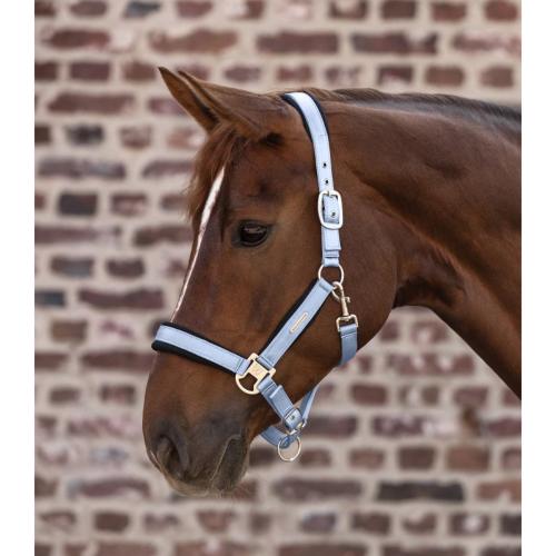 WALDHAUSEN - Licol synthétique doublé néoprène BREATH 