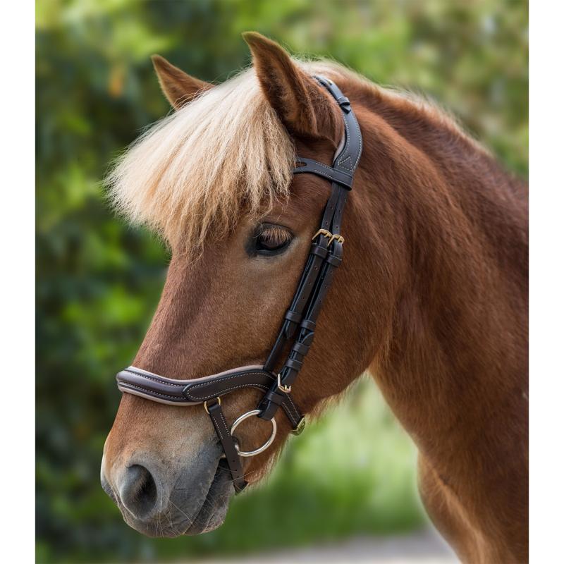 WALDHAUSEN - Bridon PONEY à Tetière et Muserolle Anatomique ISLAND NOIR