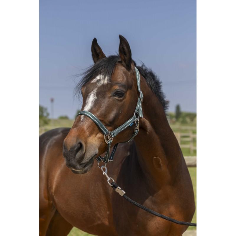 NORTON - Licol réglable en polypropylène 3 mousquetons  GROOMING PONEY BORDEAUX