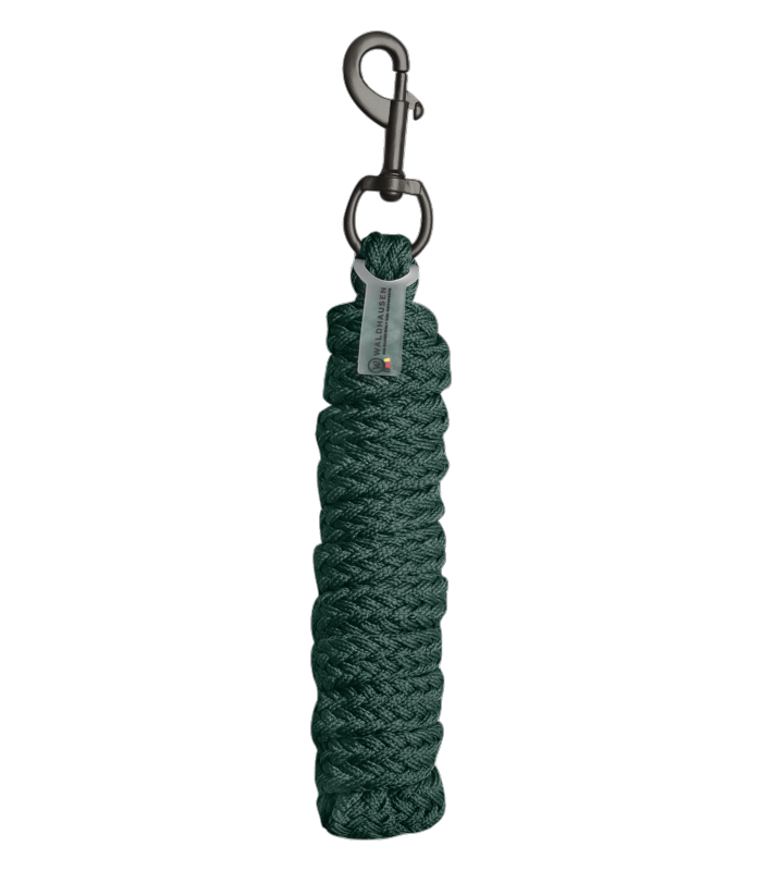 WALDHAUSEN - Longe d'attache en nylon mousqueton simple GLOOMY NOIR
