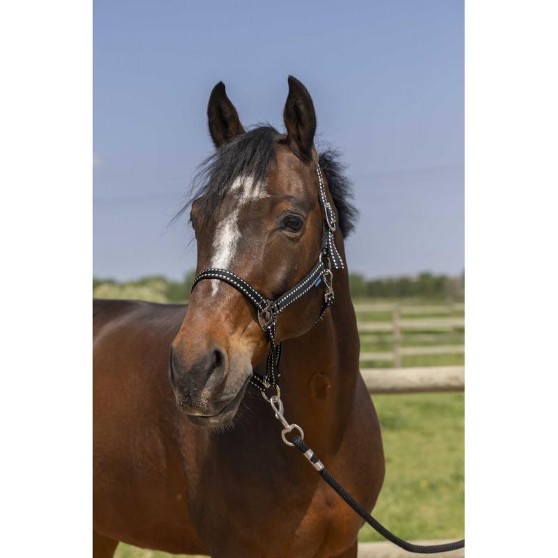 NORTON - Licol réglable en polypropylène 3 mousquetons  GROOMING PONEY BORDEAUX
