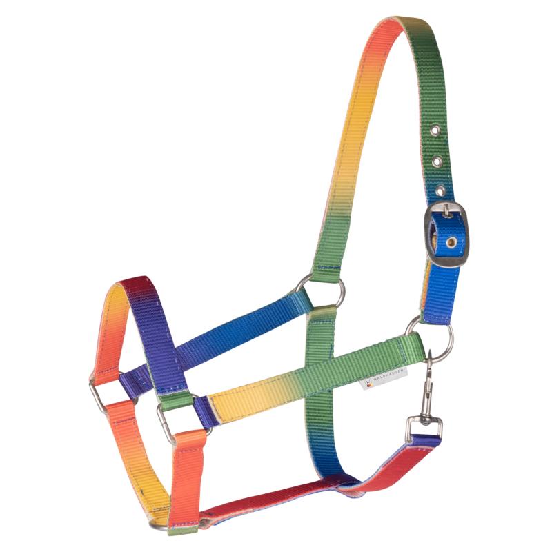 WALDHAUSEN - Licol Multicolor Arc-en-ciel Taille Shetland à Cheval SHETLAND