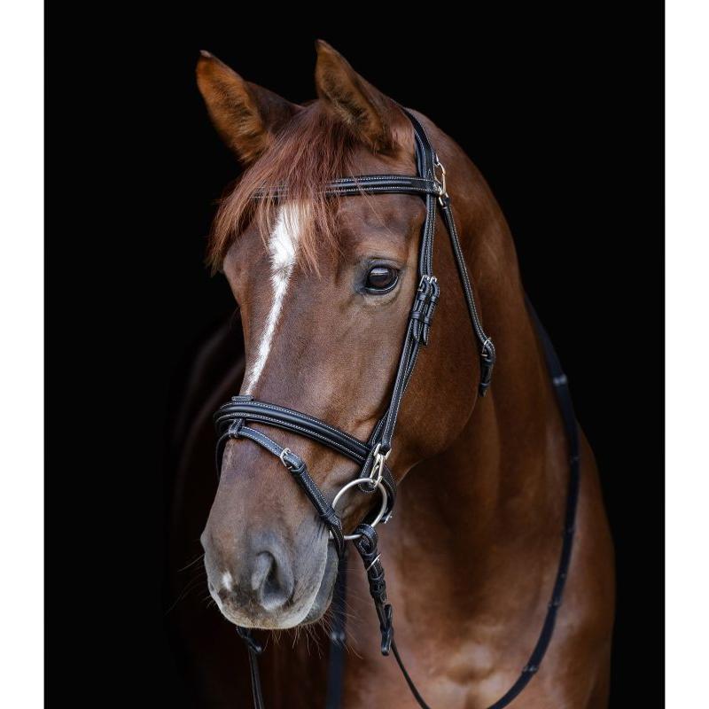 WALDHAUSEN - Bridon Cuir à têtière large et mousquetons WORK X LINE CHEVAL HAVANE
