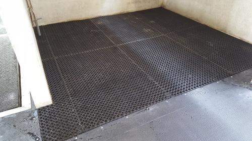 CHALLENGER - Dalle douche 1.50M X 1.00 M caillebotis 23 mm pour Chevaux