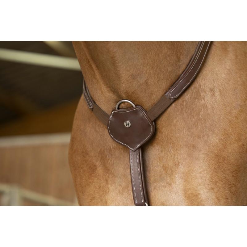 Collier de Chasse Confort en  Cuir Doublé , NORTON PRO COB HAVANE NOIR