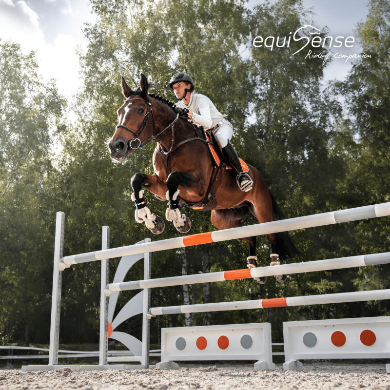 EQUISENSE - Outil de Mesure de Santé et Performances Motion S Attache en Cuir NOIR