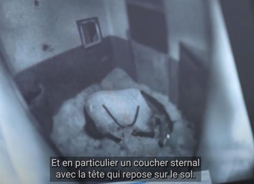 Matelas de box chevaux épais 40 MM butyl et caoutchouc sur mesure, au M²